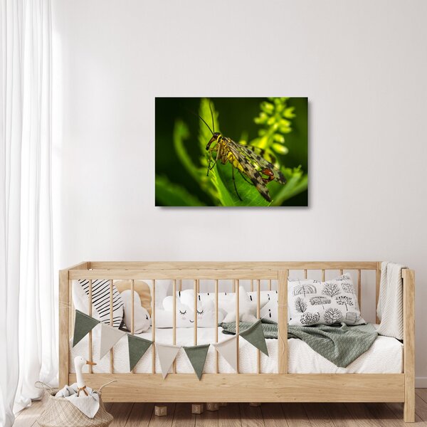 Staklena slika kukca (70x50 cm)