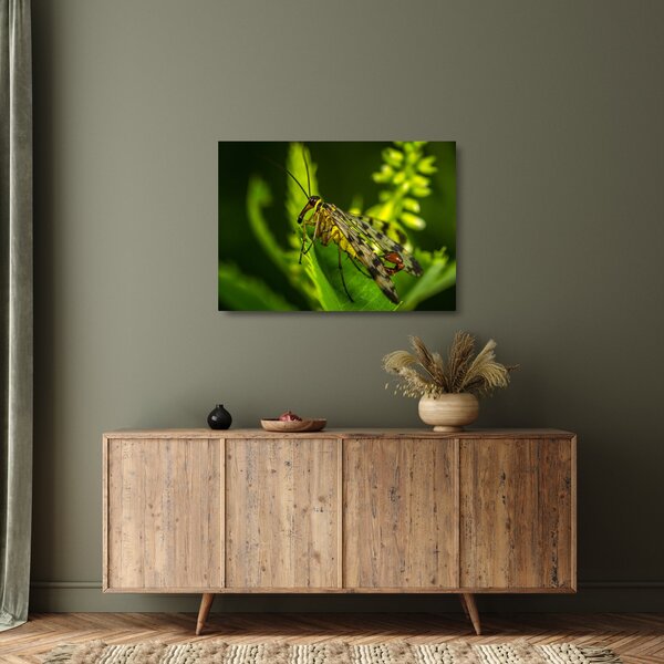 Staklena slika kukca (70x50 cm)