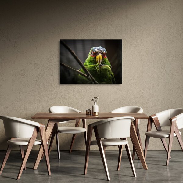 Staklena slika papige (70x50 cm)