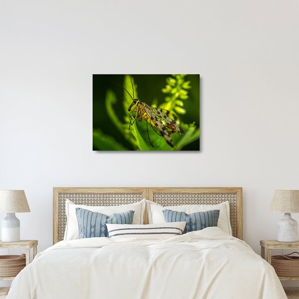 Staklena slika kukca (70x50 cm)