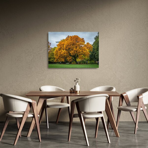 Staklena slika stabla (70x50 cm)