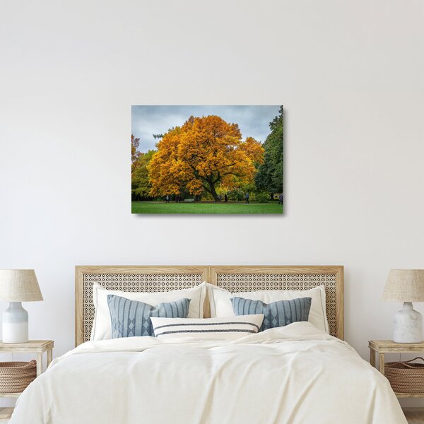 Staklena slika stabla (70x50 cm)