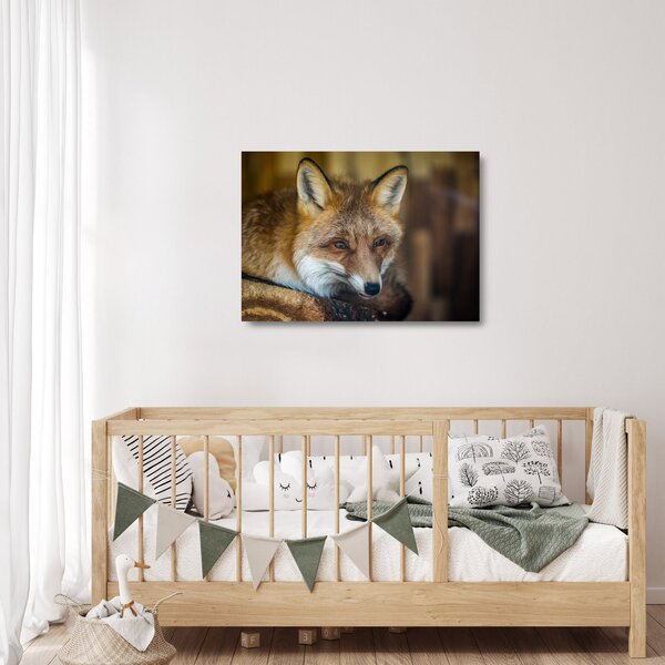 Staklena slika lisice (70x50 cm)