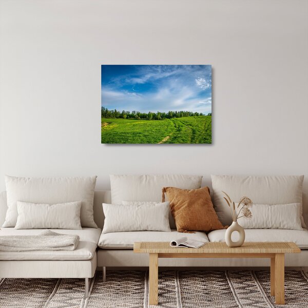 Staklena slika livade (70x50 cm)