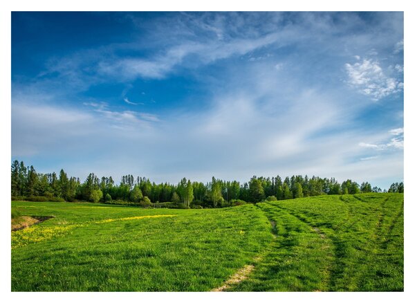 Staklena slika livade (70x50 cm)
