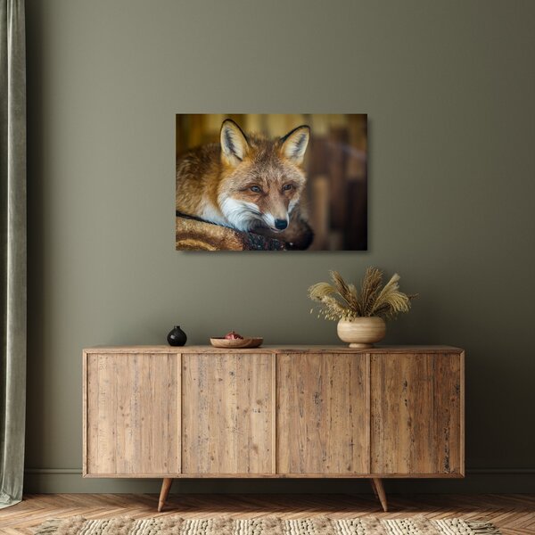 Staklena slika lisice (70x50 cm)