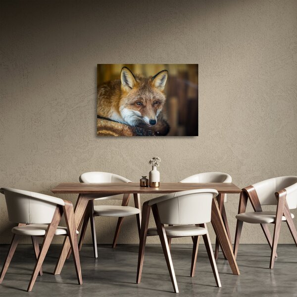 Staklena slika lisice (70x50 cm)