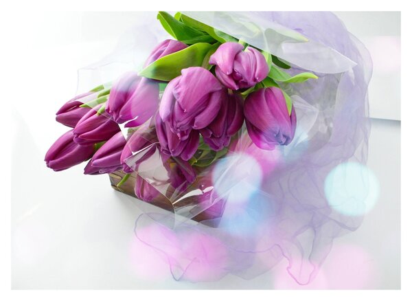 Staklena slika - buket tulipana (70x50 cm)