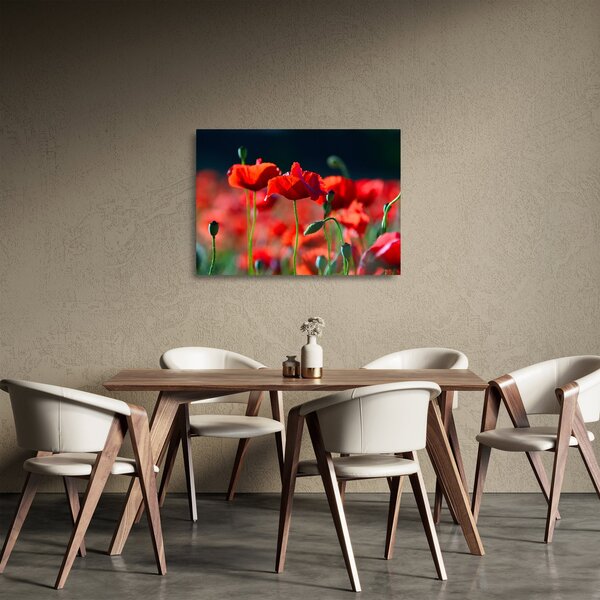 Staklena slika - makovi (70x50 cm)