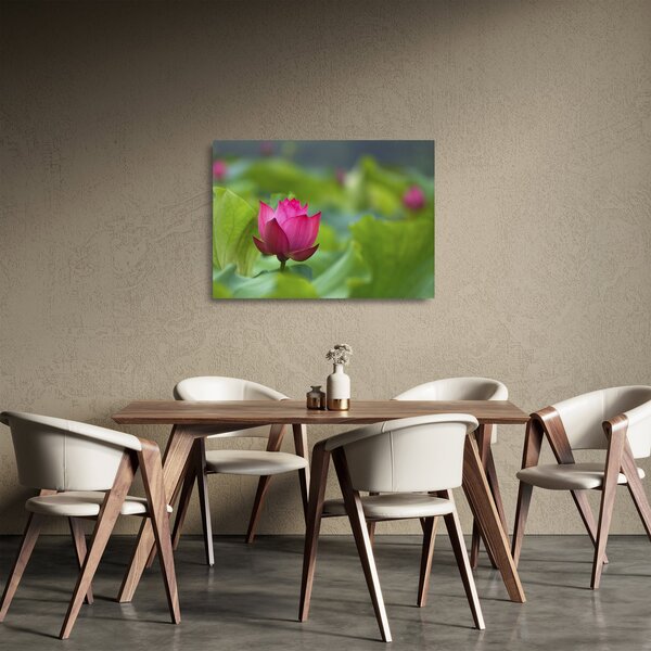 Staklena slika - vodena biljka (70x50 cm)