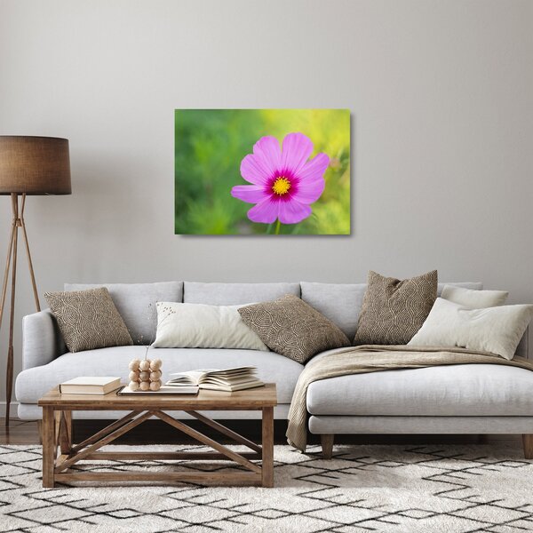 Staklena slika - livadski cvijet (70x50 cm)