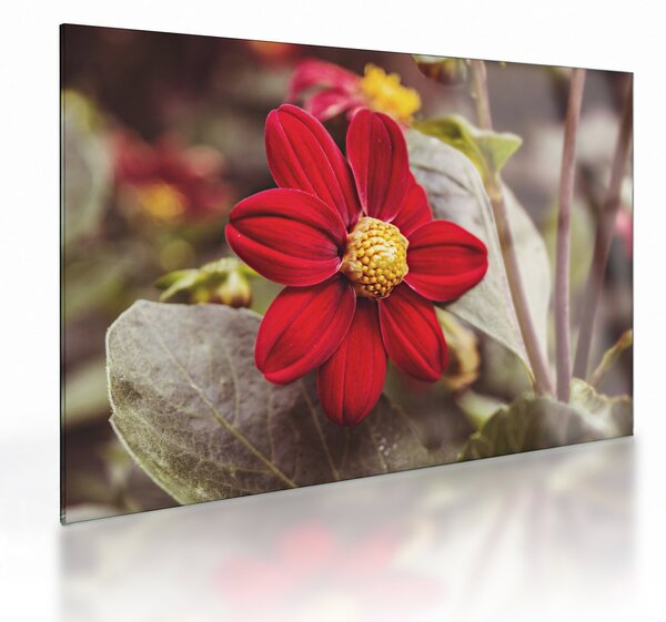 Staklena slika cvijeta (70x50 cm)