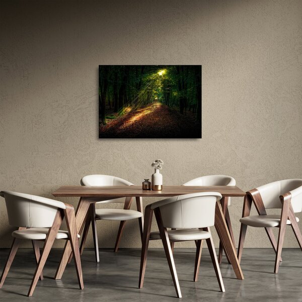 Staklena slika šumskog puta (70x50 cm)