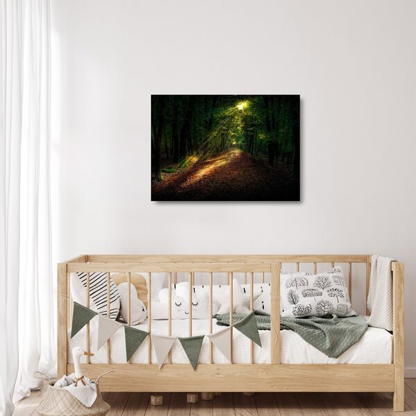 Staklena slika šumskog puta (70x50 cm)
