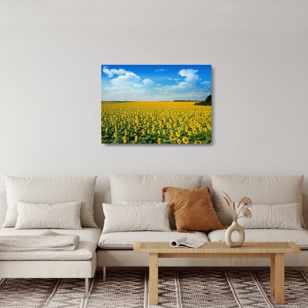Staklena slika - polje suncokreta (70x50 cm)