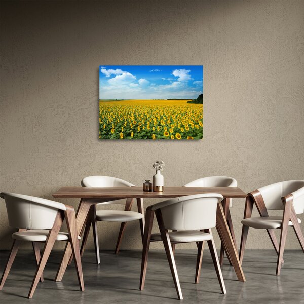 Staklena slika - polje suncokreta (70x50 cm)