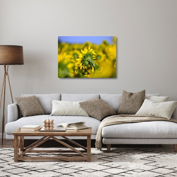 Staklena slika suncokreta (70x50 cm)