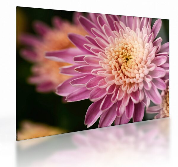 Staklena slika cvijeta izbliza (70x50 cm)