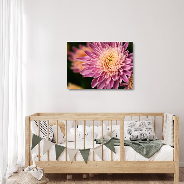 Staklena slika cvijeta izbliza (70x50 cm)