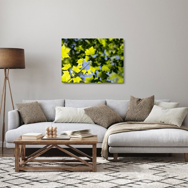 Staklena slika - javorovo lišće (70x50 cm)
