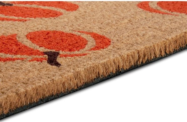 Otirač 45x75 cm Mix Mats - Hanse Home