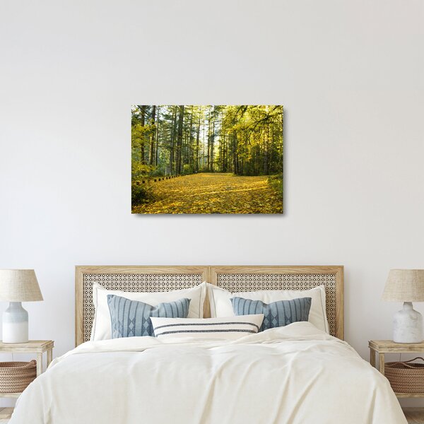 Staklena slika - šuma u jesen (70x50 cm)