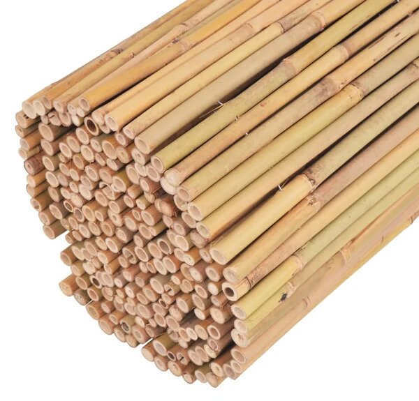 Ograda od bambusa 300 x 100 cm - 300 x 100 cm 1 300 x 100 cm