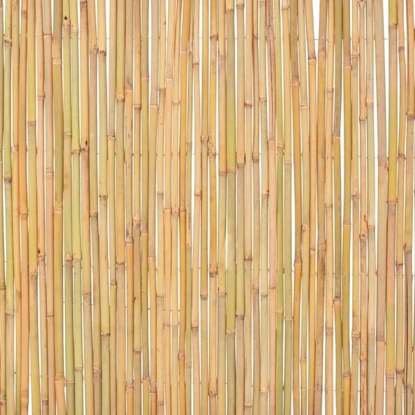 Ograda od bambusa 300 x 100 cm - 300 x 100 cm 1 300 x 100 cm