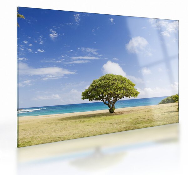 Staklena slika plaže s drvetom (70x50 cm)