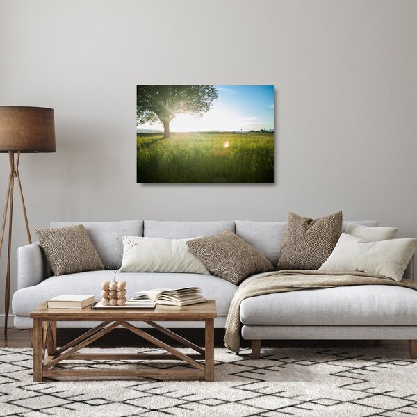 Staklena slika ljetne livade (70x50 cm)