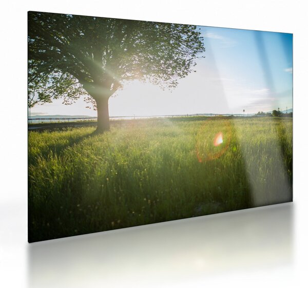 Staklena slika ljetne livade (70x50 cm)