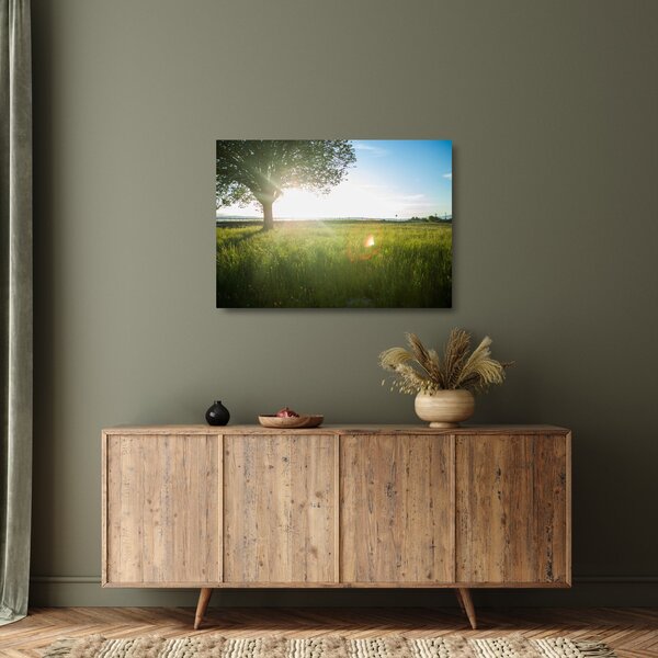 Staklena slika ljetne livade (70x50 cm)