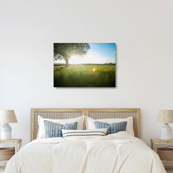 Staklena slika ljetne livade (70x50 cm)