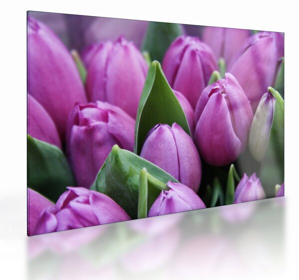Staklena slika - cvijeće tulipana (70x50 cm)