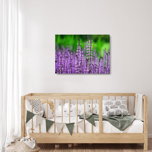 Staklena slika ljubičastog livadskog bilja (70x50 cm)
