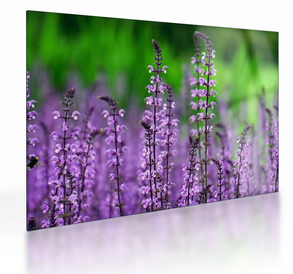 Staklena slika ljubičastog livadskog bilja (70x50 cm)