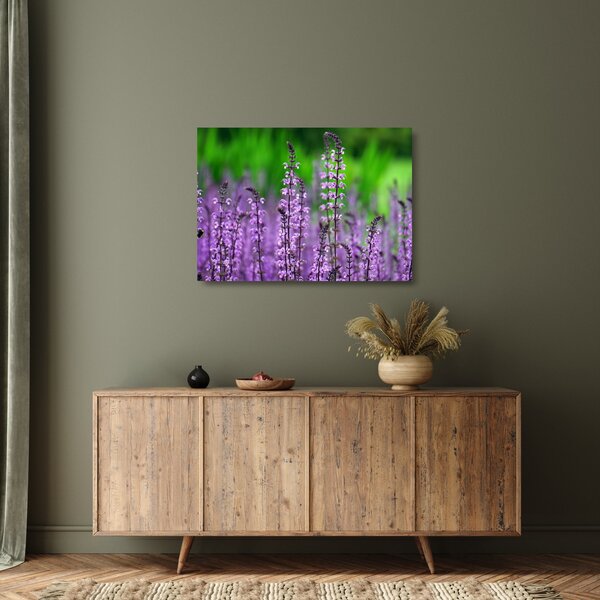 Staklena slika ljubičastog livadskog bilja (70x50 cm)