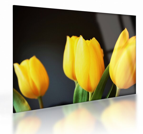 Staklena slika tulipana (70x50 cm)