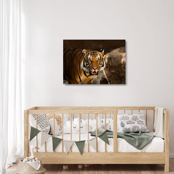 Staklena slika tigra (70x50 cm)