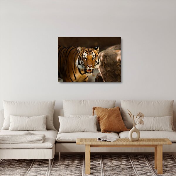 Staklena slika tigra (70x50 cm)