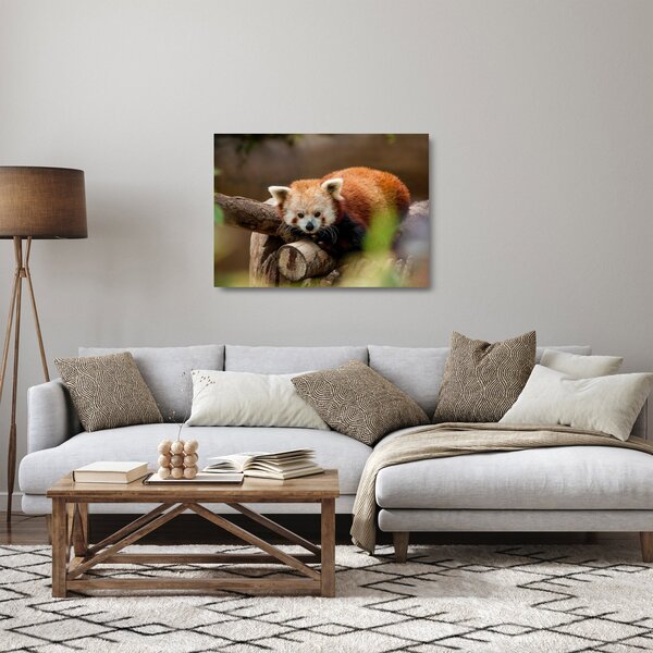 Staklena slika crvene pande (70x50 cm)