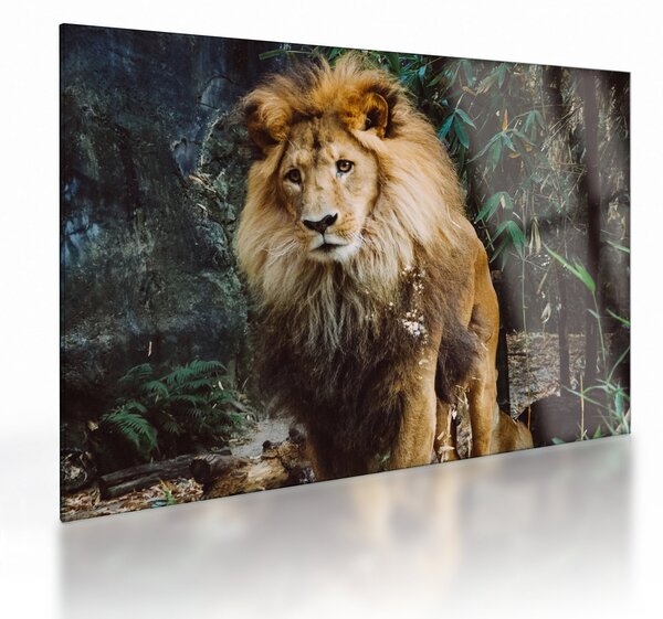 Staklena slika lava u prirodi (70x50 cm)