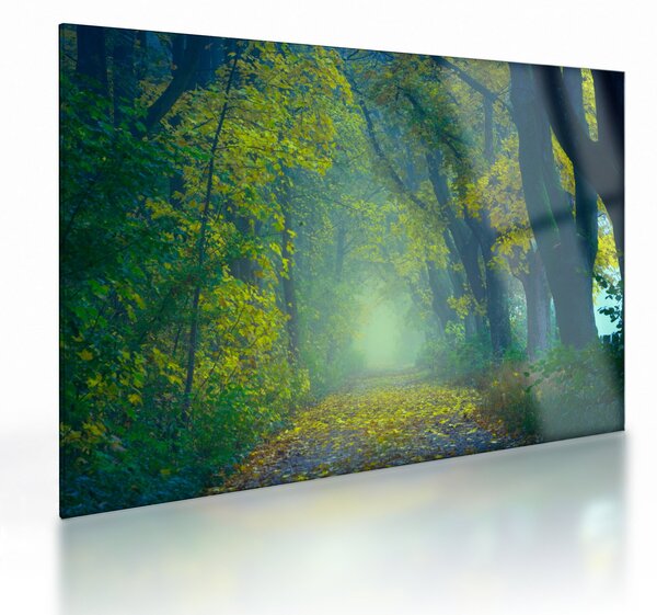 Staklena slika staze obrubljene drvećem (70x50 cm)