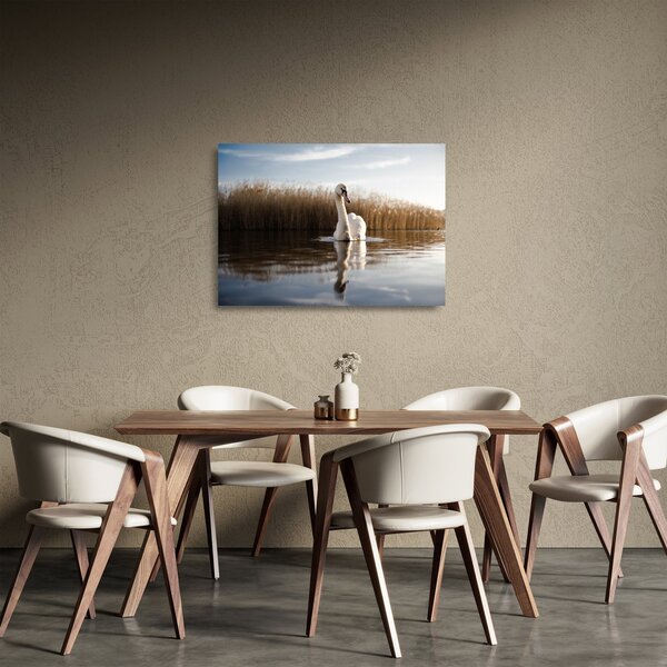 Staklena slika labuda (70x50 cm)