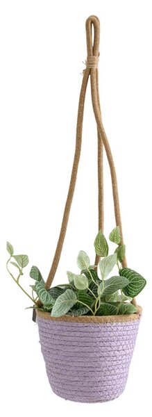 Viseća posuda za cvijeće TRIPOLIS 16 cm - više boja Boja: Ljubičasta