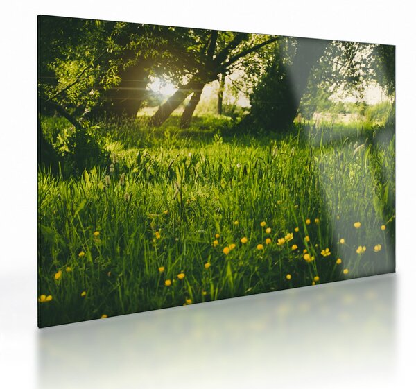 Staklena slika prirode - livada (70x50 cm)