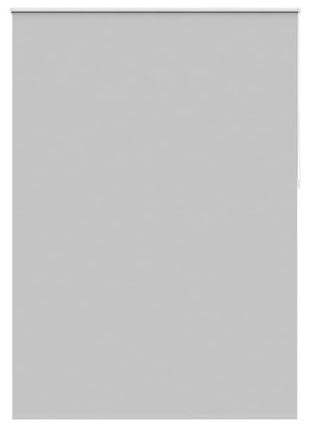 Rolo zavjesa za zamračivanje 144 4 x 230 cm Širina tkanine 140 cm siva - Siva 140 x 230 cm Siva 140 x 230 cm