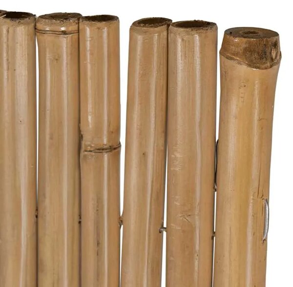 Ograda od bambusa 180 x 170 cm