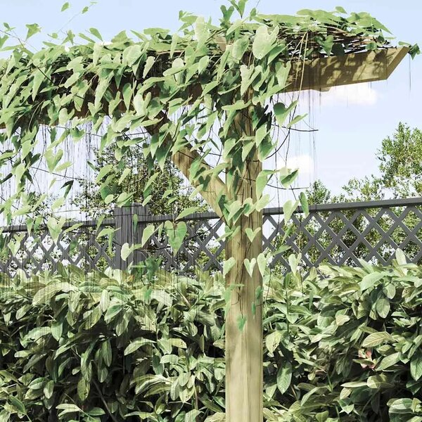 Vrtna pergola 205 x 40 x 203 cm drvena - 200 x 40 x 205 cm 1 200 x 40 x 205 cm