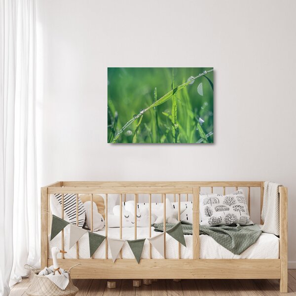 Staklena slika kapi rose (70x50 cm)